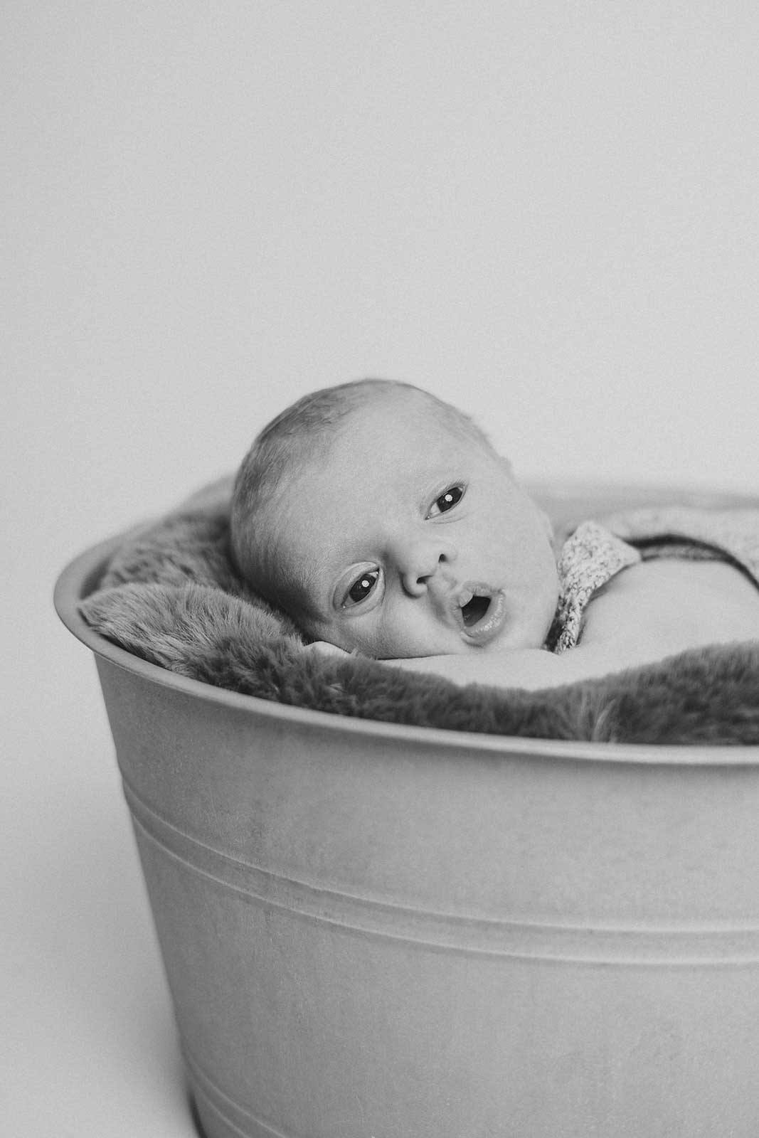 Neugeborenenshooting im Fotostudio